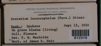 Image Associated With the Occurence